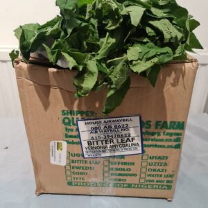 Bitterleaf (Ewuro)