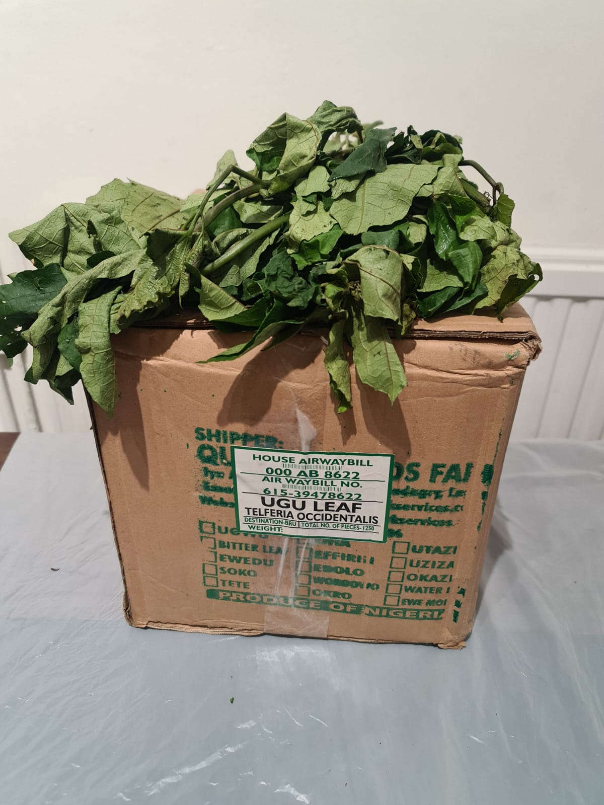 Ugu (Fluted pumpkin)