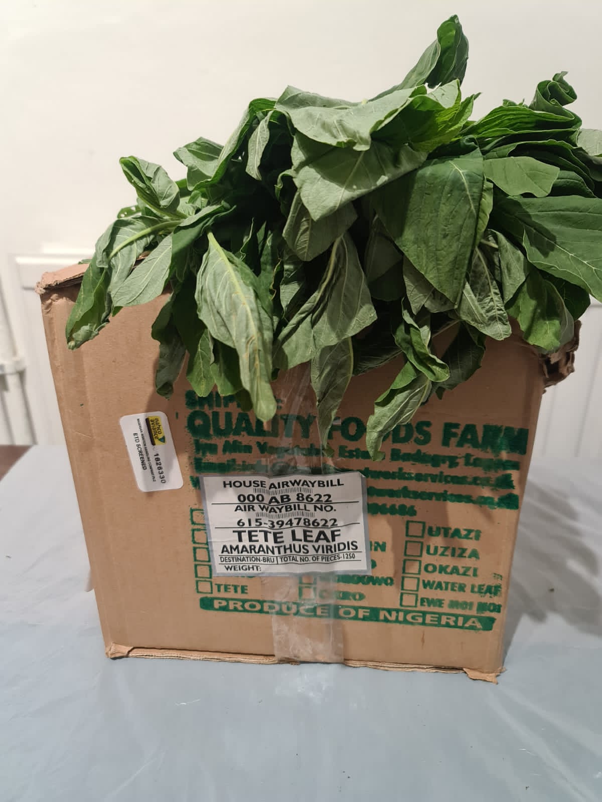 Tete Leaf (Amaranth greens)