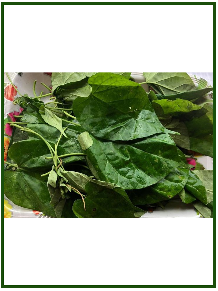 Uziza Leaves - Dried (25g)